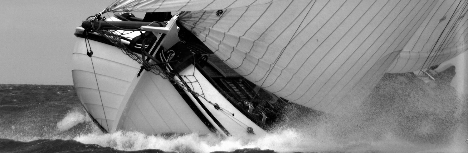 Vliegent-Hart-2005-Medemblik